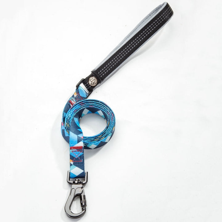 Why Every Dog Owner Needs the Perfect Leash