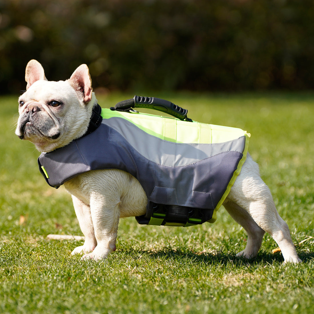 Reflective Pet Swim Safety Life Jacket