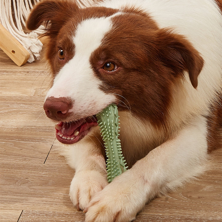 Pet Chew Toy For Teeth Cleaning