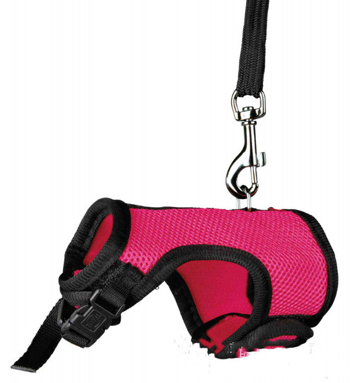 Compact Adjustable Pet Leash