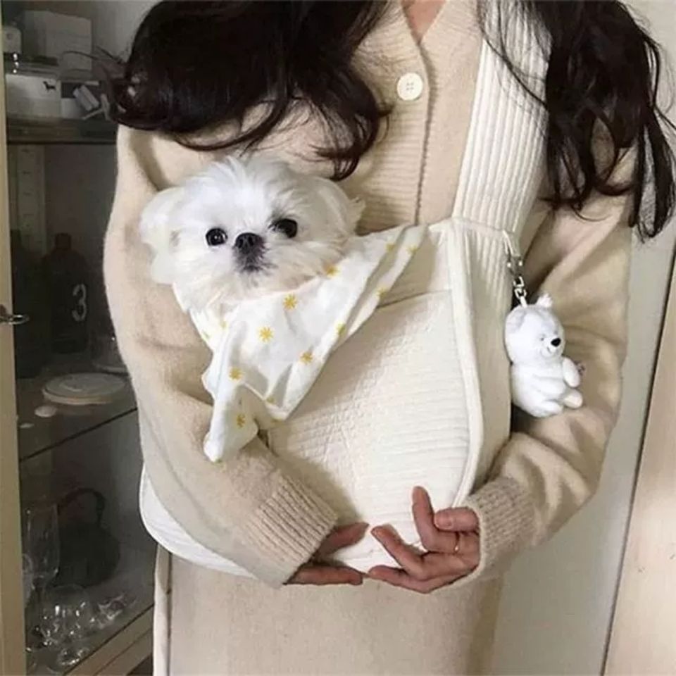 Handmade Canvas Pet Carrier Bag Breathable Outdoor Travel Tote