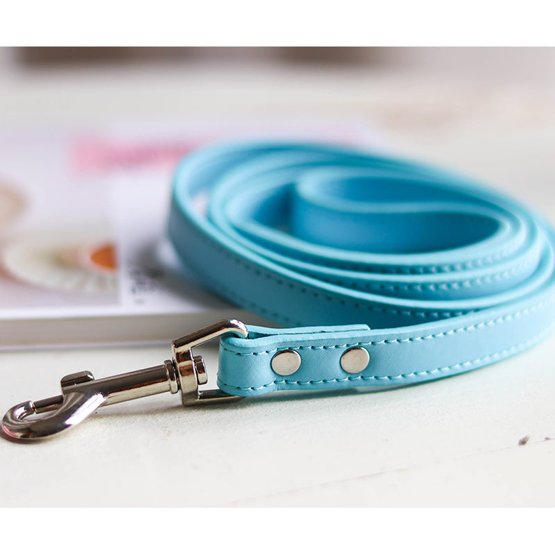 Adjustable Pet Leash With Comfortable Collar Set