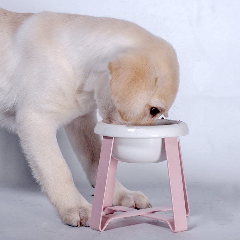 Creative 2-in-1 Antislip Pet Food And Water Bowl With Stand