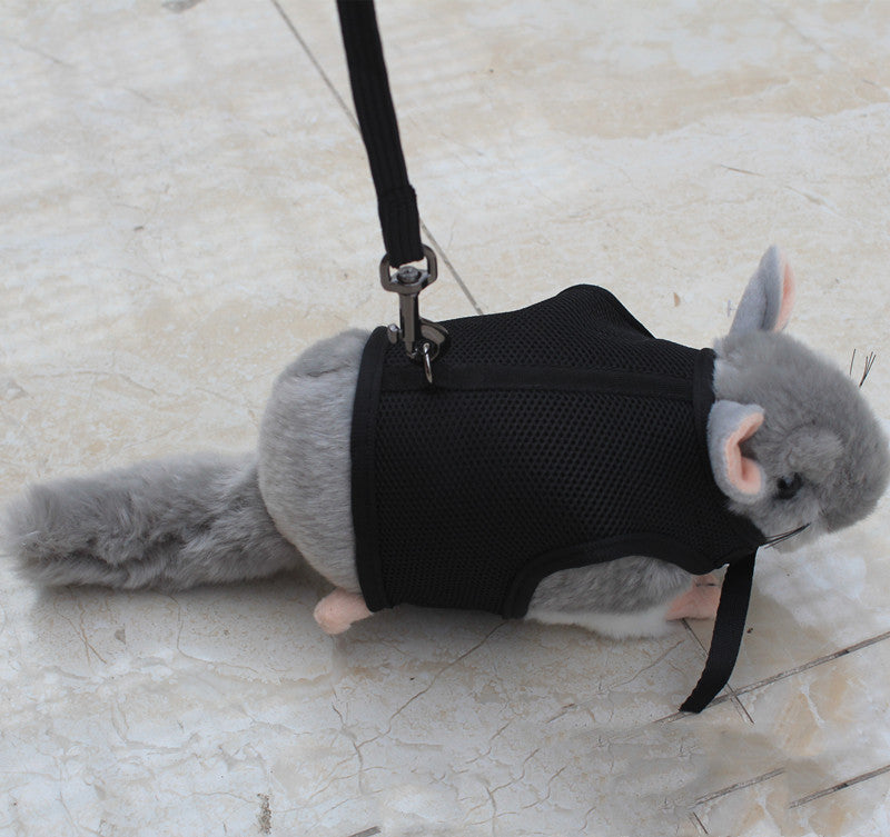 Compact Adjustable Pet Leash