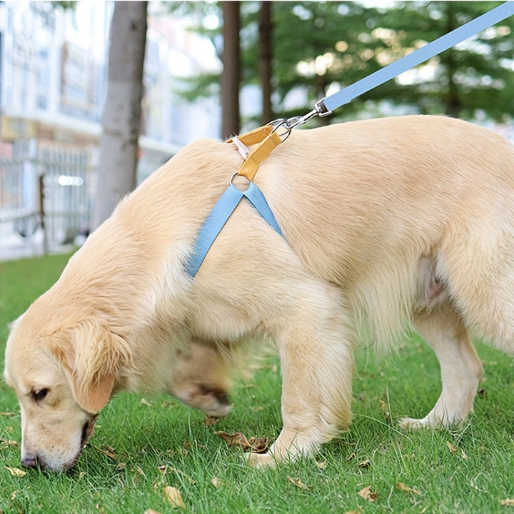 Rainbow Colorblock Anti-Escape Pet Harness With Leash