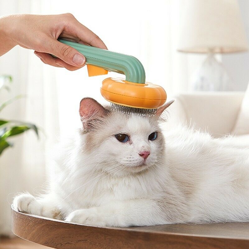 Self-Cleaning Pumpkin Pet Slicker Brush For Hair Removal