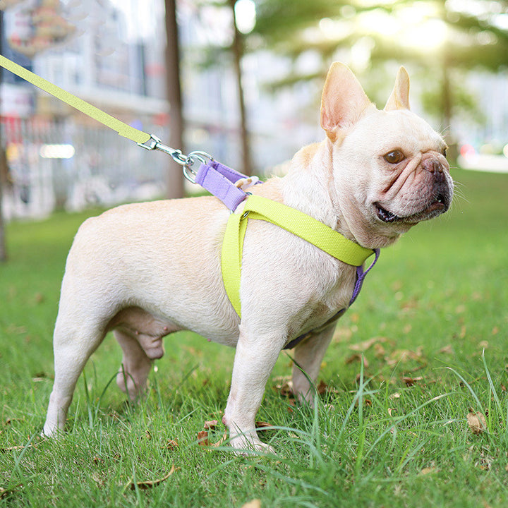 Colorful Drawstring Pet Leash With Vest Design