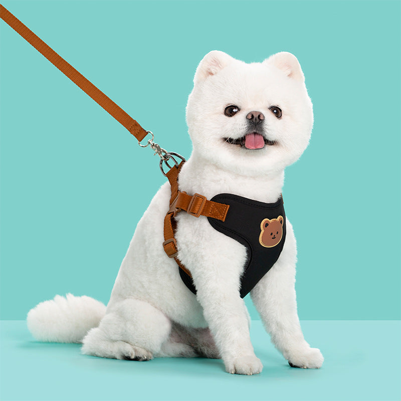 Durable Outdoor Pet Leash Strap