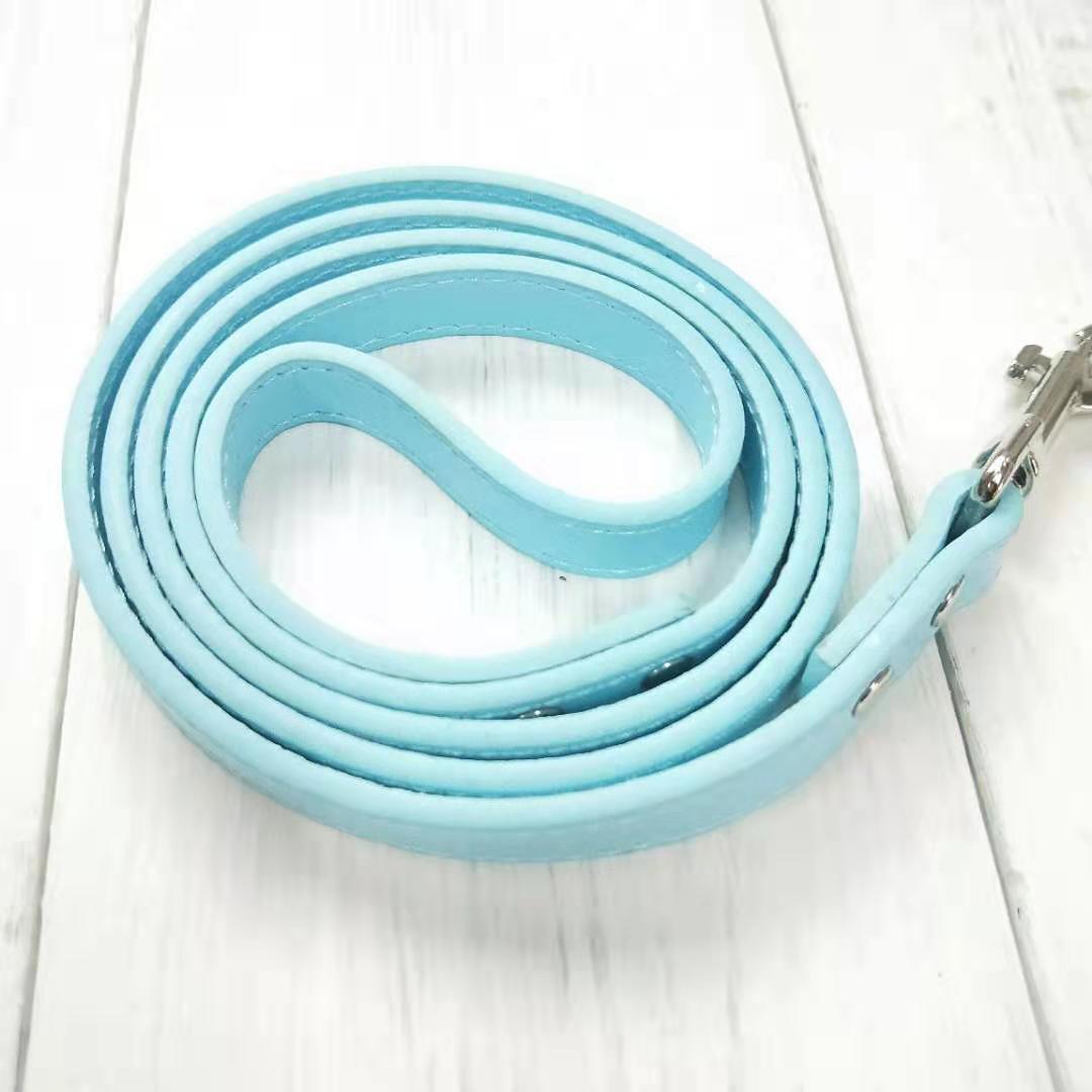 Adjustable Pet Leash With Comfortable Collar Set