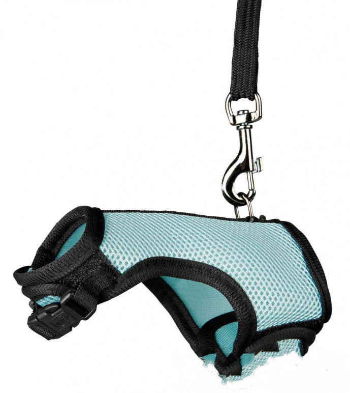 Compact Adjustable Pet Leash