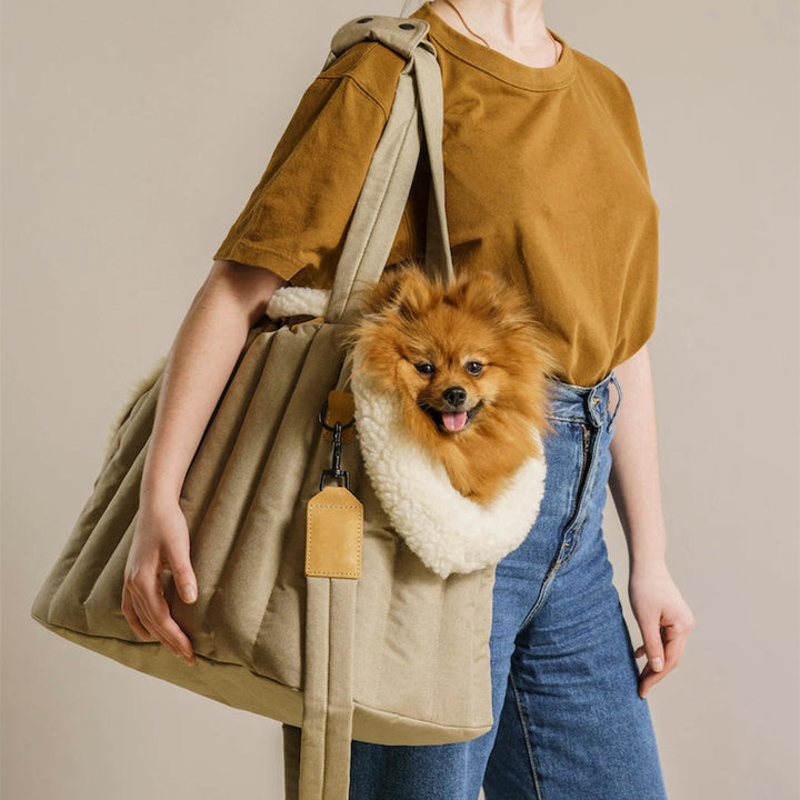 Lightweight Waterproof Pet Carrier Bag Portable Handbag