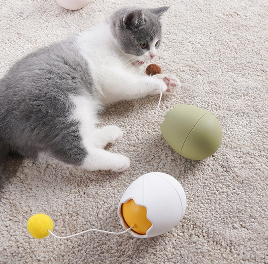 Entertaining Fun Pet Toy For Playtime