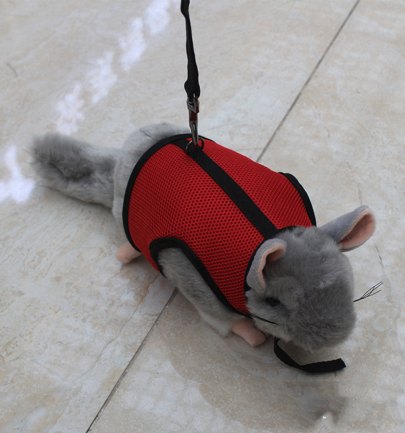 Compact Adjustable Pet Leash