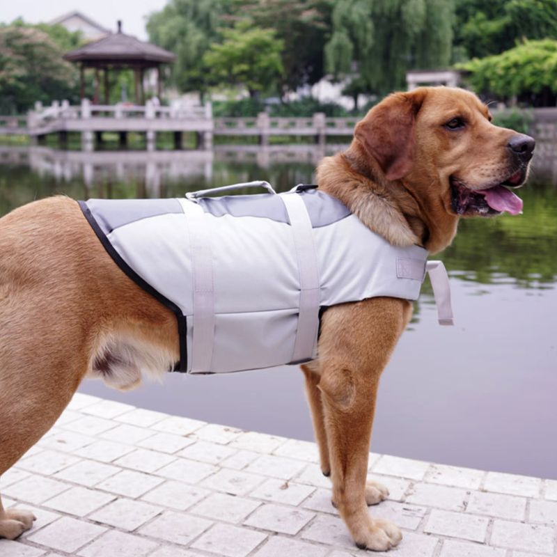 Safety Pet Life Jacket Vest