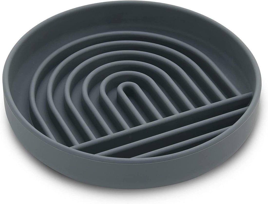 Fashionable Slow Feeding Pet Bowl