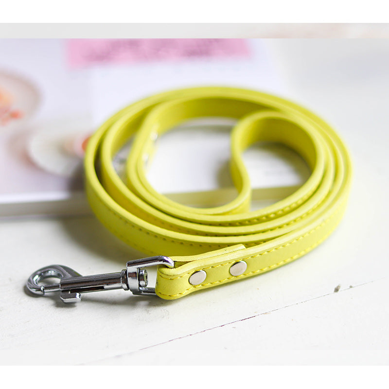 Adjustable Pet Leash With Comfortable Collar Set