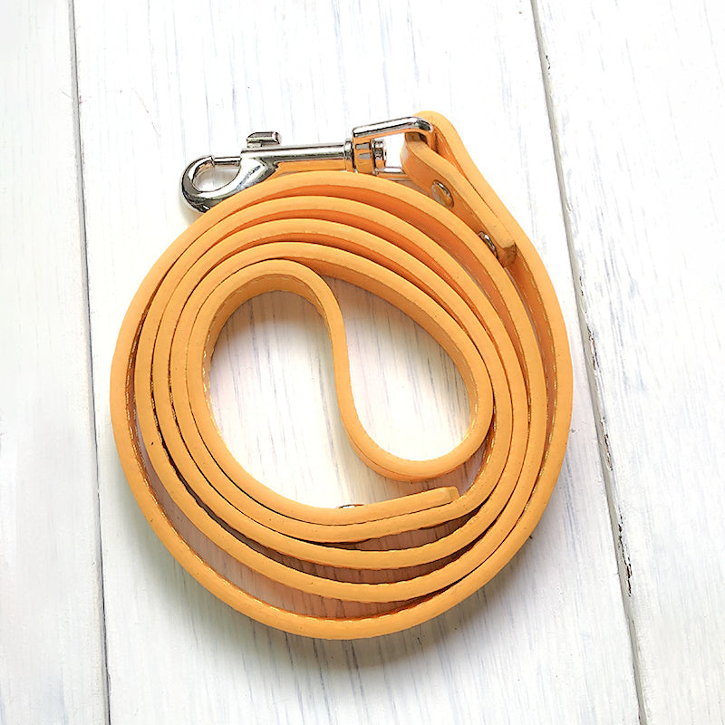 Adjustable Pet Leash With Comfortable Collar Set
