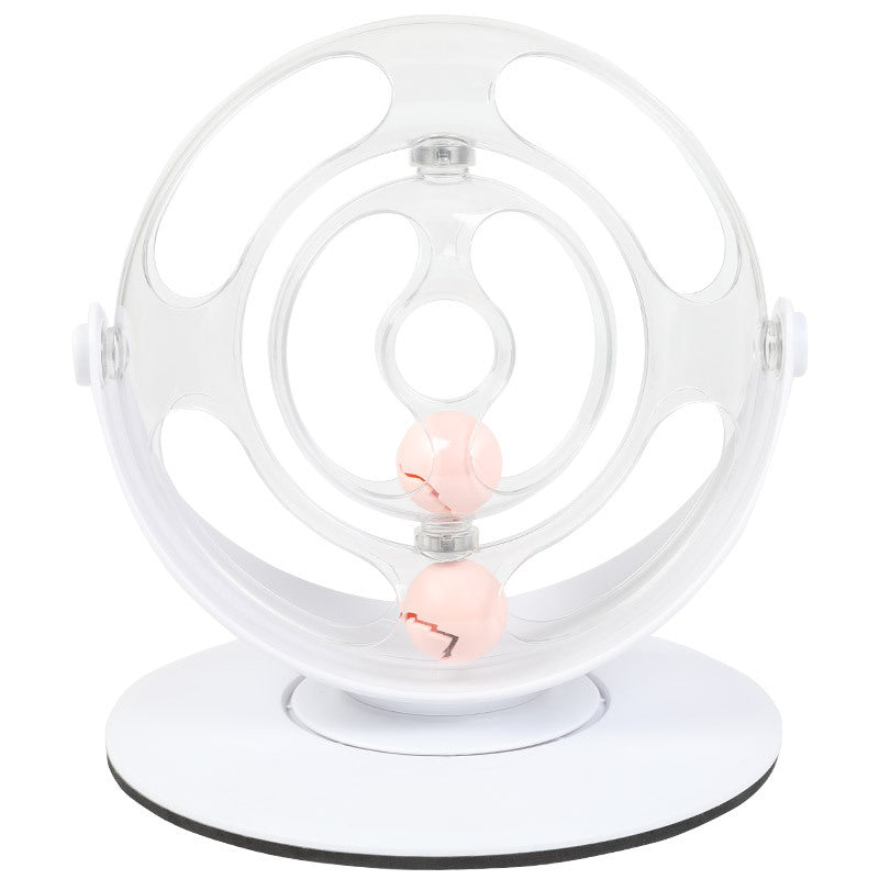Interactive Spinning Pet Educational Toy
