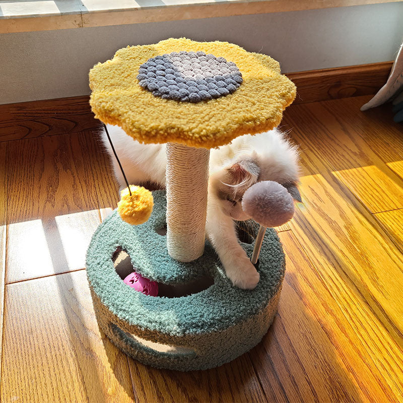 Pet Cat Claw Scratch Board Toy