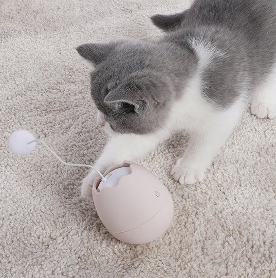 Entertaining Fun Pet Toy For Playtime