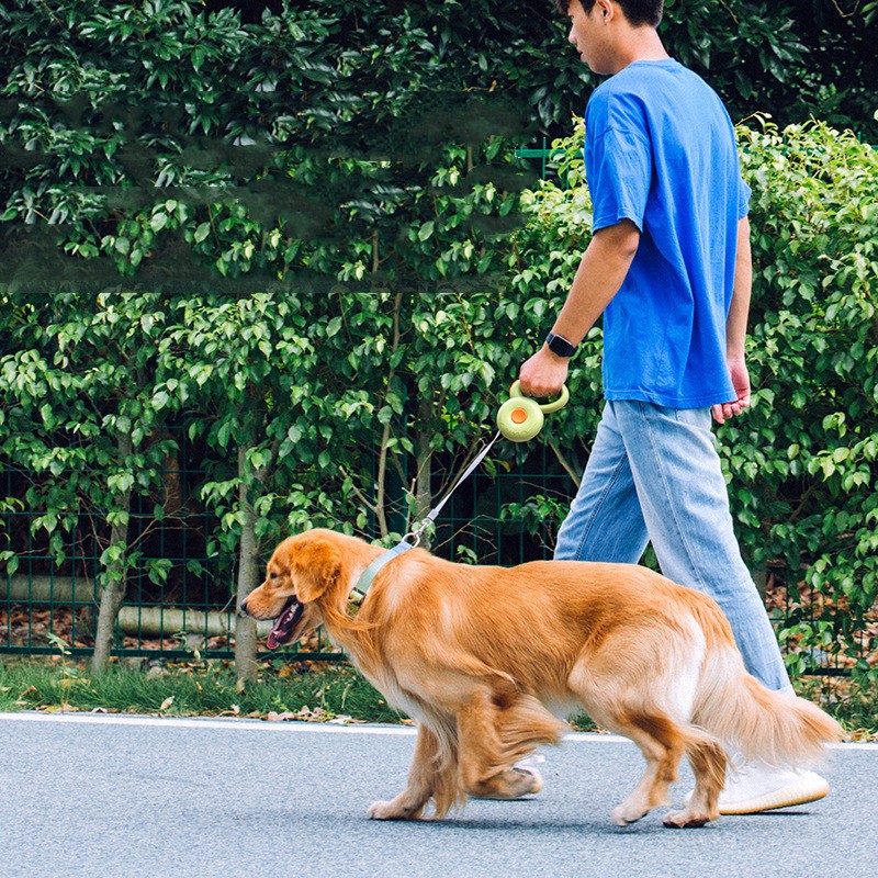 Retractable Reflective Pet Leash Rope