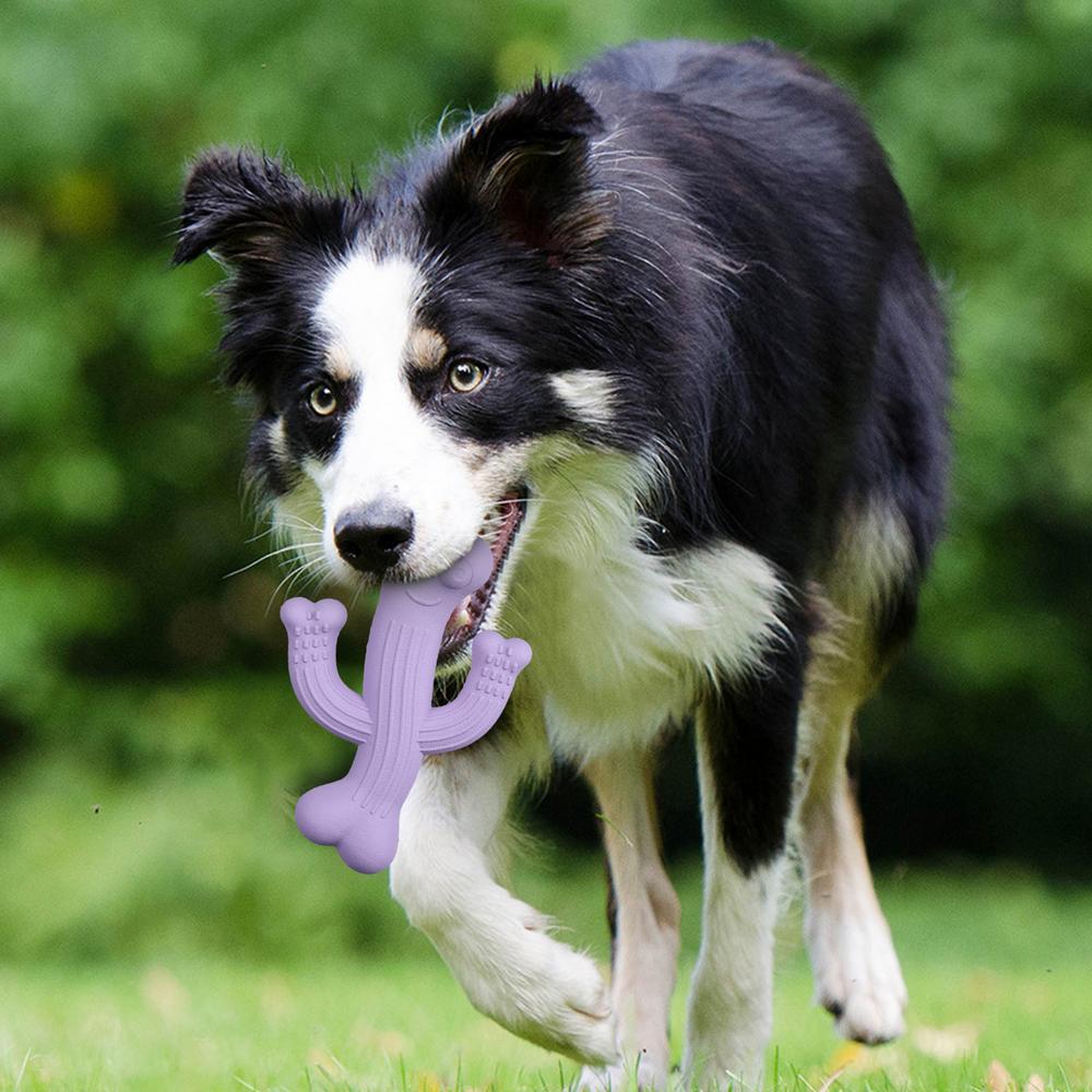 Durable Cactus-Shaped Interactive Pet Chew Toy