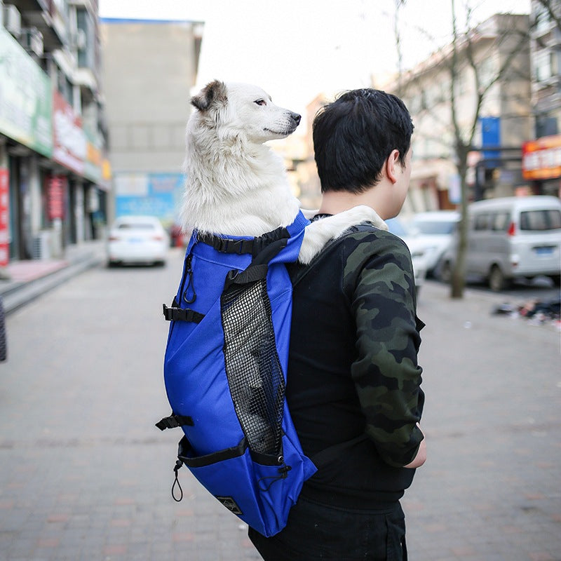 Double Shoulder Portable Pet Travel Carrier Backpack