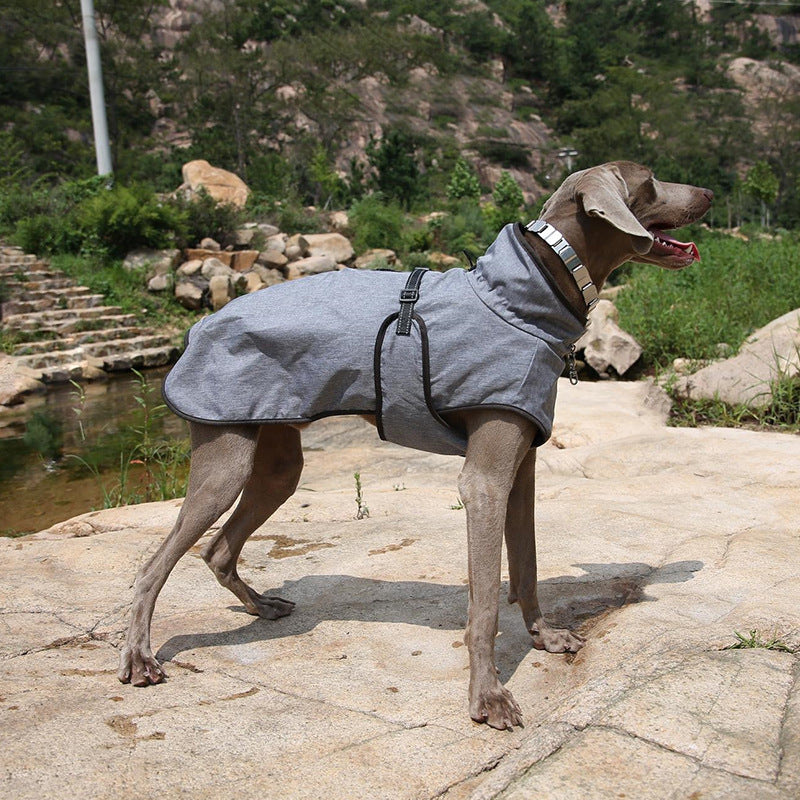 Insulated Pet Shell Jacket Winter Outdoor Ski Suit
