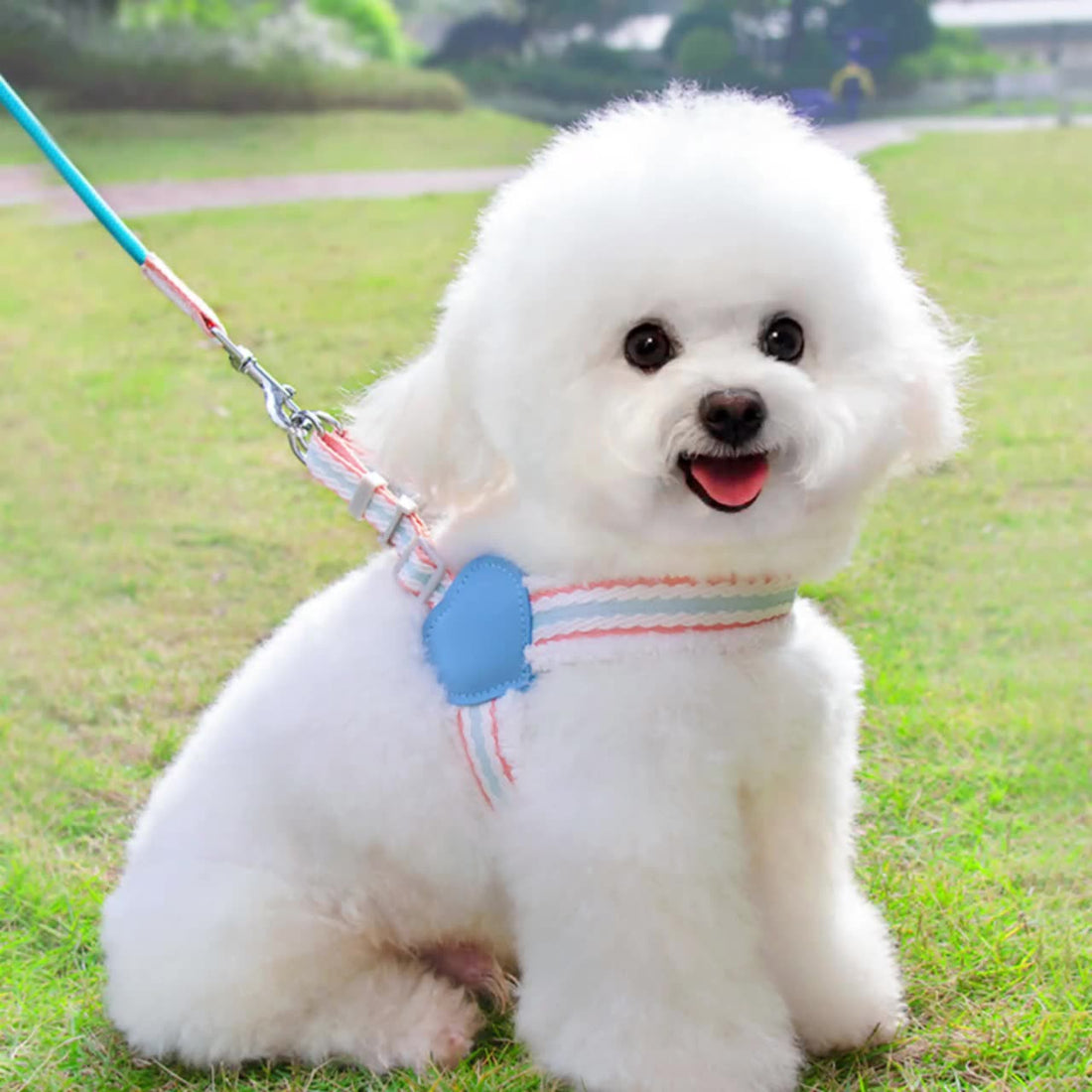 Breathable Summer Pet Harness Vest With Leash