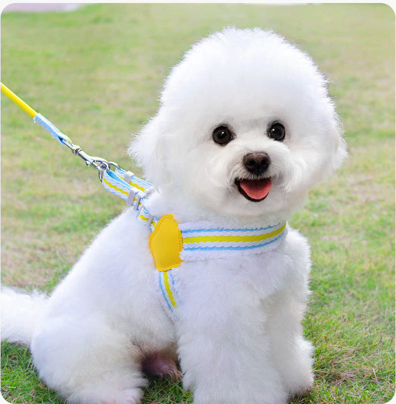 Breathable Summer Pet Harness Vest With Leash