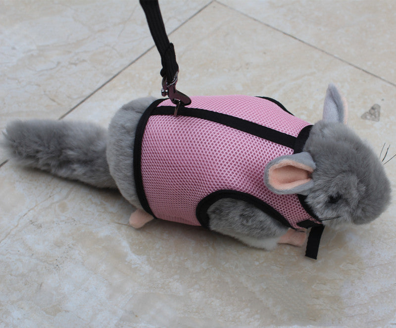 Compact Adjustable Pet Leash