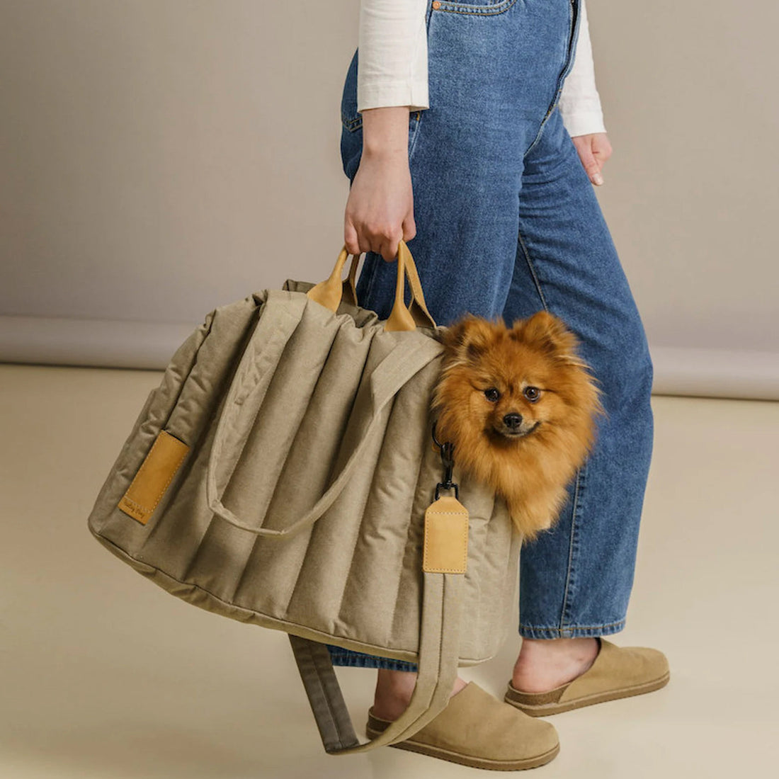 Lightweight Waterproof Pet Carrier Bag Portable Handbag