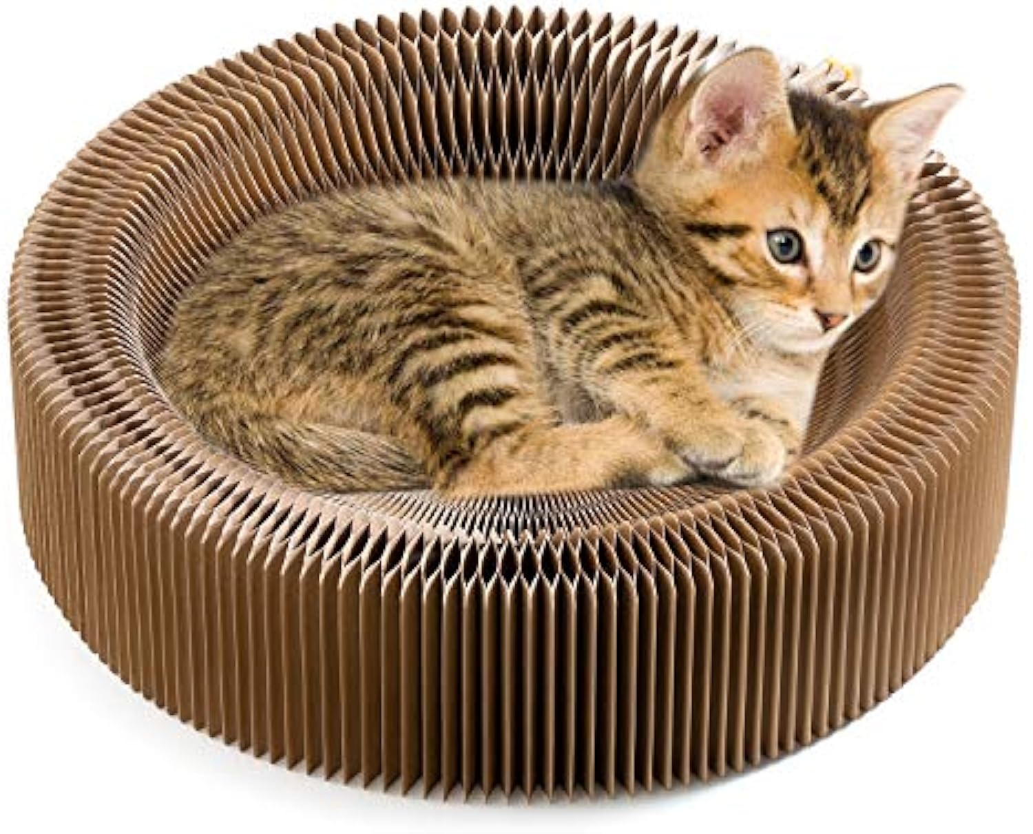 Collapsible Round Cat Scratcher Lounge Bed Indoor Pet