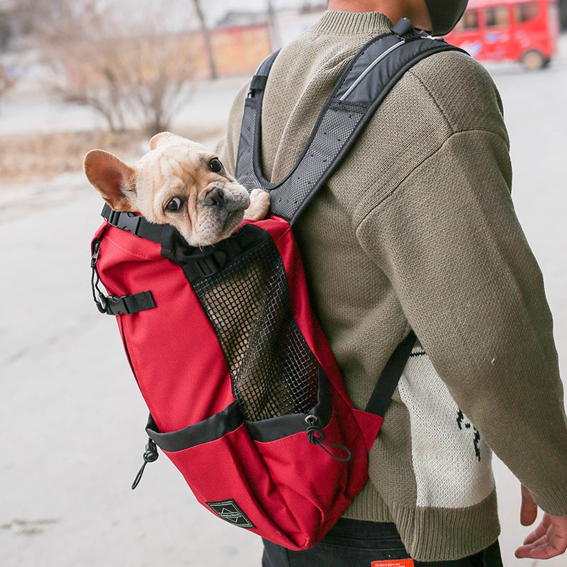 Double Shoulder Portable Pet Travel Carrier Backpack