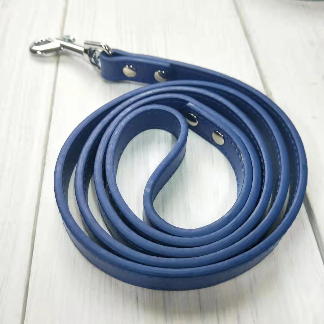 Adjustable Pet Leash With Comfortable Collar Set