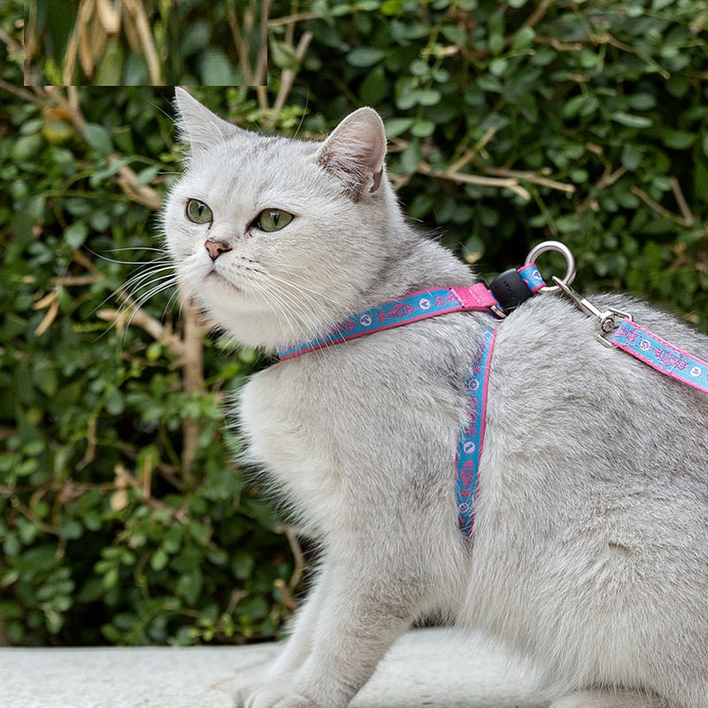 Adjustable Pet Harness Vest With Bell And Leash