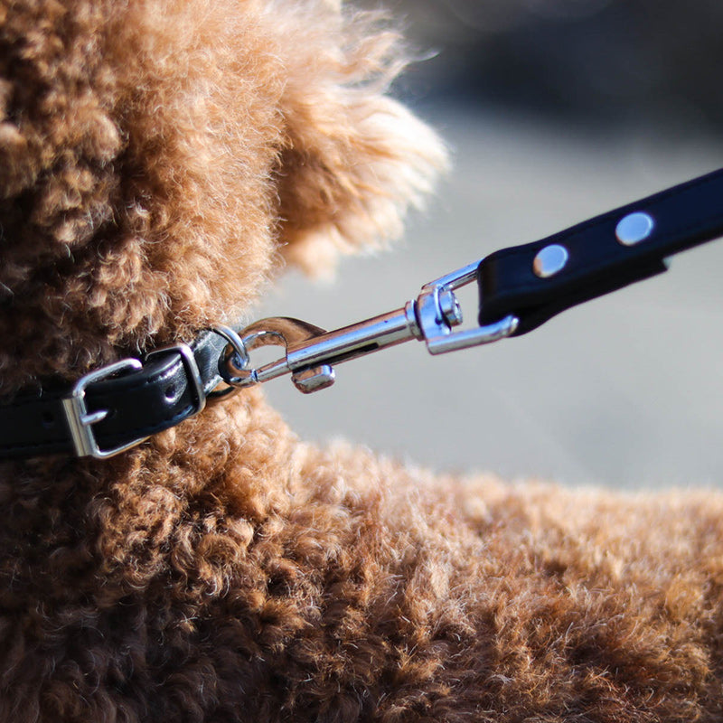Adjustable Pet Leash With Comfortable Collar Set