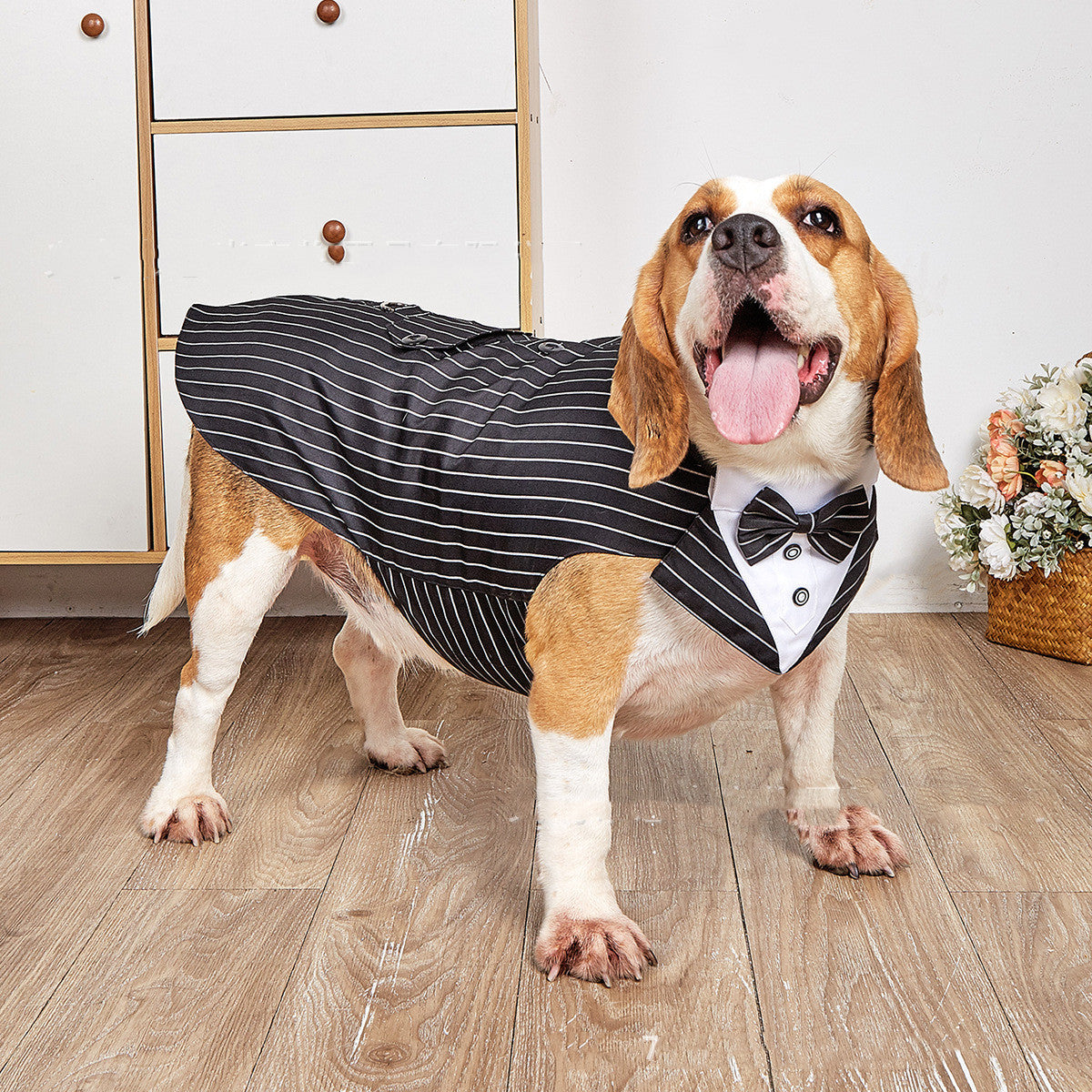 Pet Swallowtail Wedding Suit Jacket