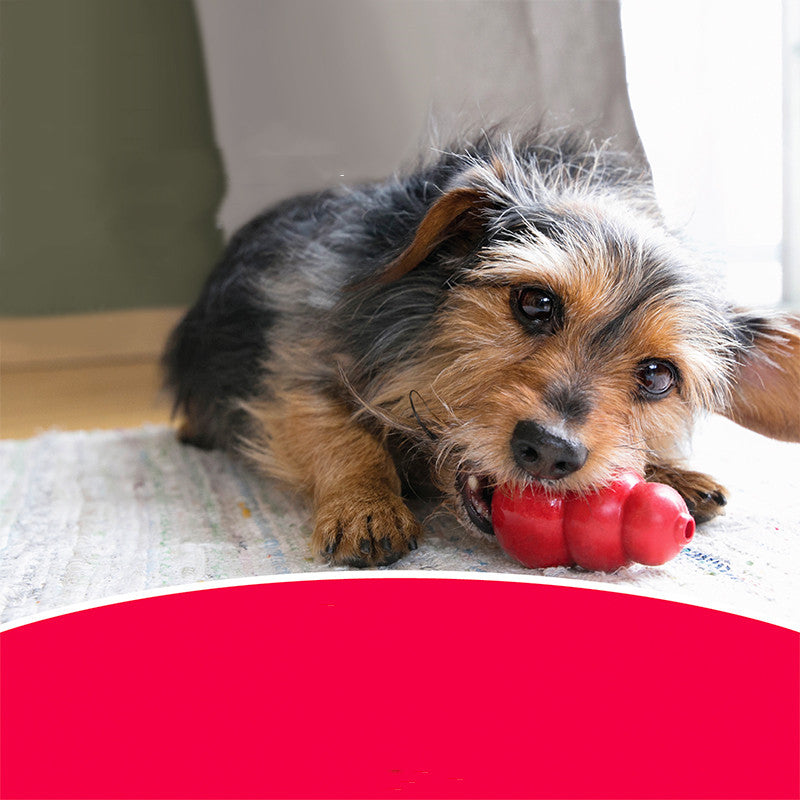 Bite-Resistant Rubber Chew Toy