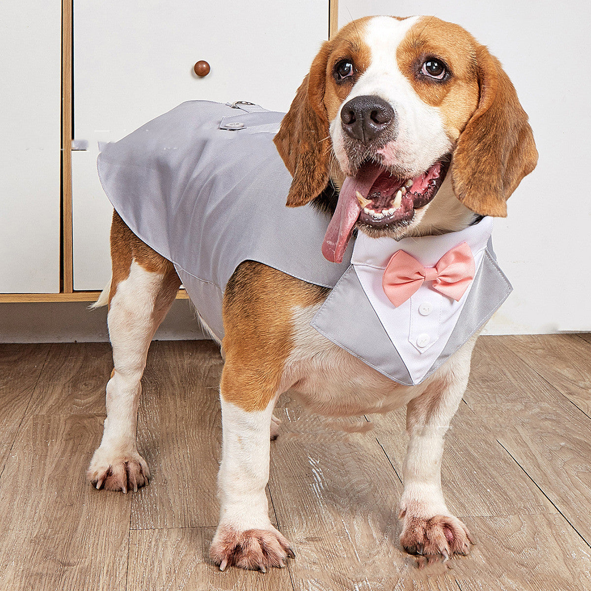 Pet Swallowtail Wedding Suit Jacket