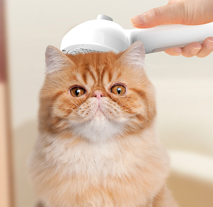 Self-Cleaning Pet Comb Hair Remover Brush With Mist