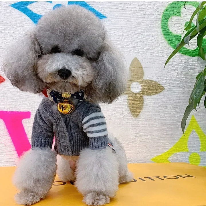 Pet Cardigan Knit Sweater For Comfortable Wear