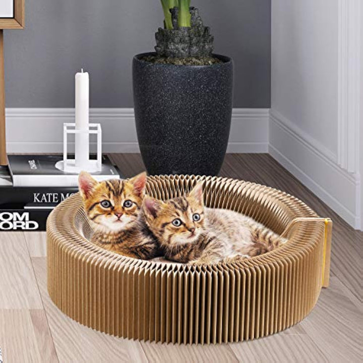 Collapsible Round Cat Scratcher Lounge Bed Indoor Pet