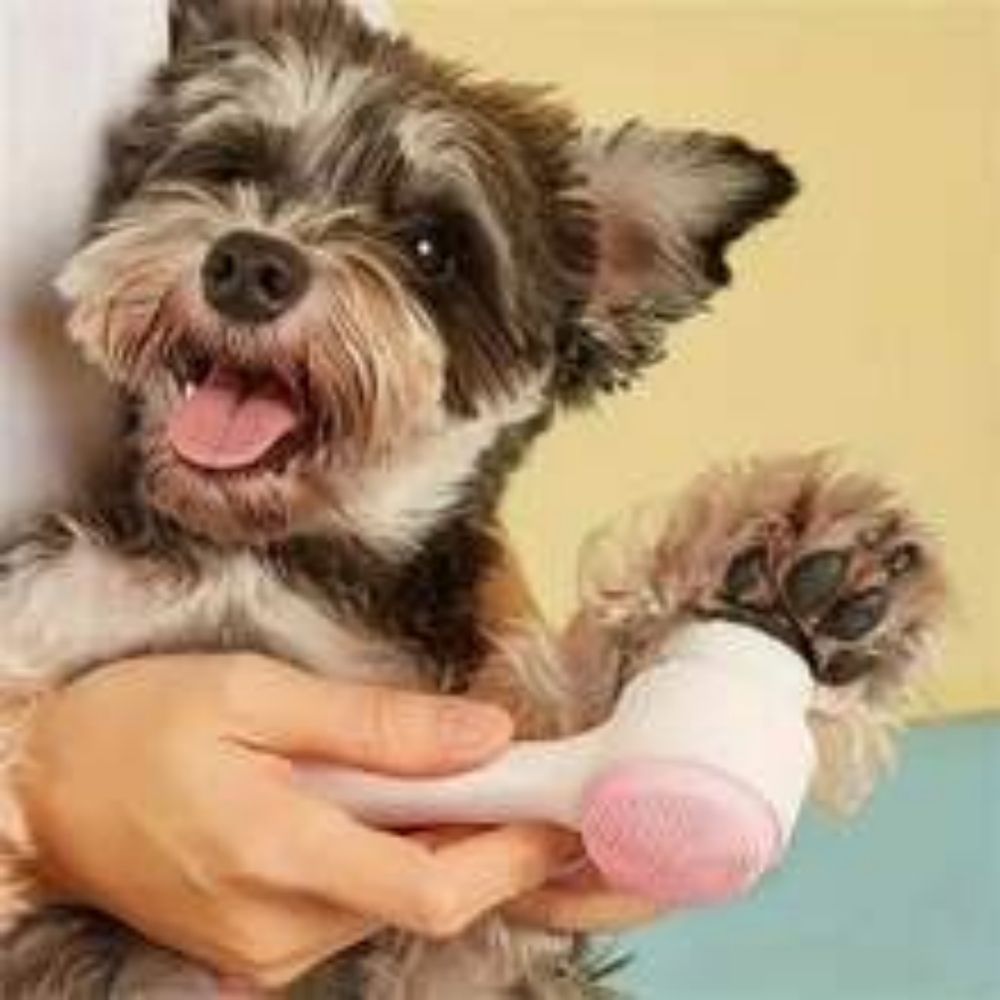 Easy Clean Nylon Pet Paw Brush Grooming Massage Tool