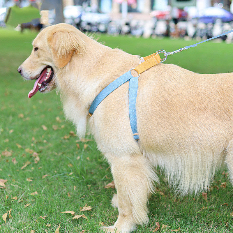Colorful Drawstring Pet Leash With Vest Design