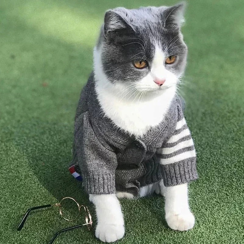 Pet Cardigan Knit Sweater For Comfortable Wear