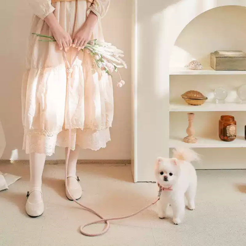Leather Pet Collar With Matching Handheld Leash