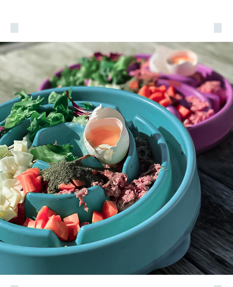 Slow Feeding Anti-Choke Pet Bowl Portable Food-Grade Plate