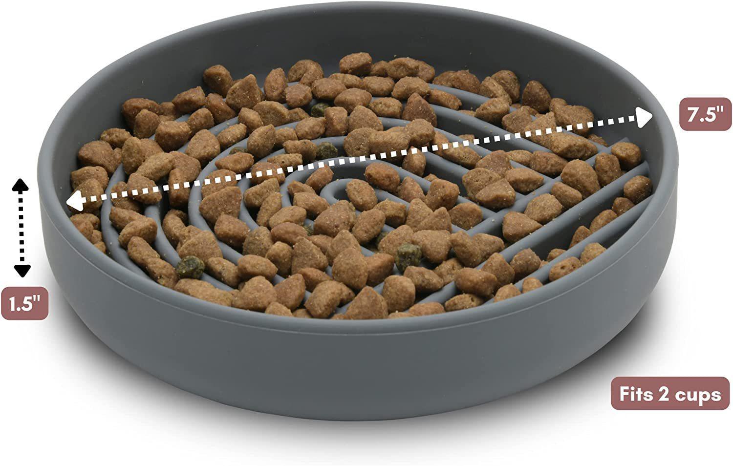 Fashionable Slow Feeding Pet Bowl