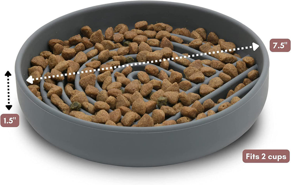 Fashionable Slow Feeding Pet Bowl